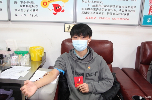 团员青年献血 (4)