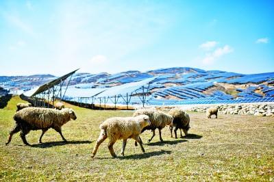 全球能源绿色低碳转型的五个新趋势