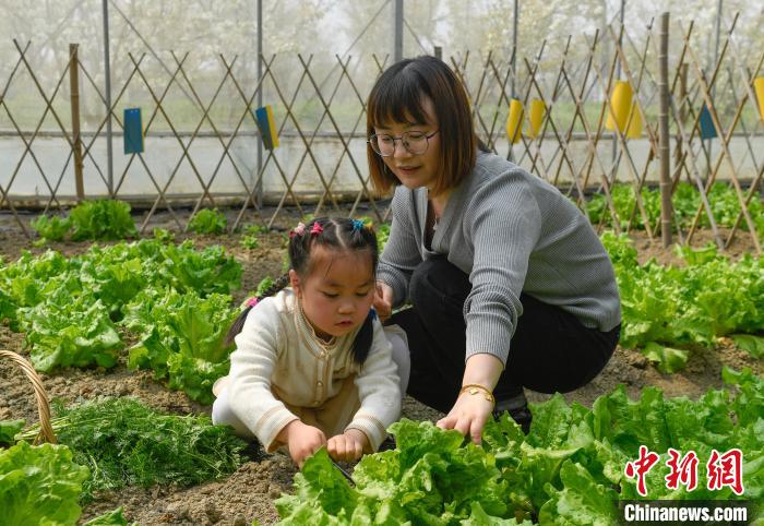 图为：游客带孩子在灵粮农场体验采摘。创业　王刚 摄