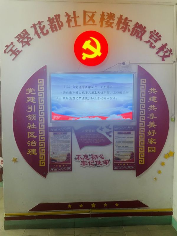 【大国基理】天津：党建先锋引领，社区治理有了“主心骨”