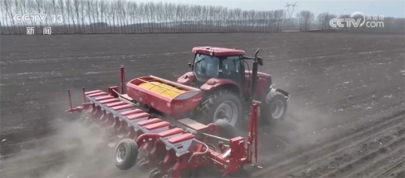 黑龙江省农业生产有序推进 机械化播种提质增效
