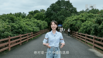 张扬Vlog｜1300岁的荔枝树，唐朝人吃的也是这种味道吗？