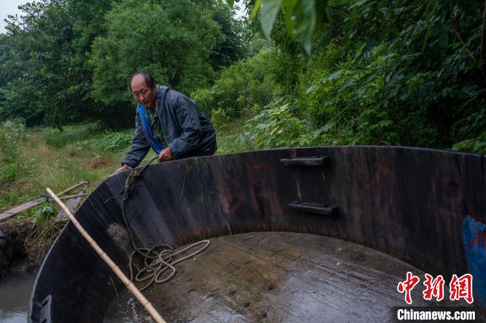 姜清泉将放在岸边的木船慢慢推进河道，准备登船开始一天的打捞工作。　高博　摄