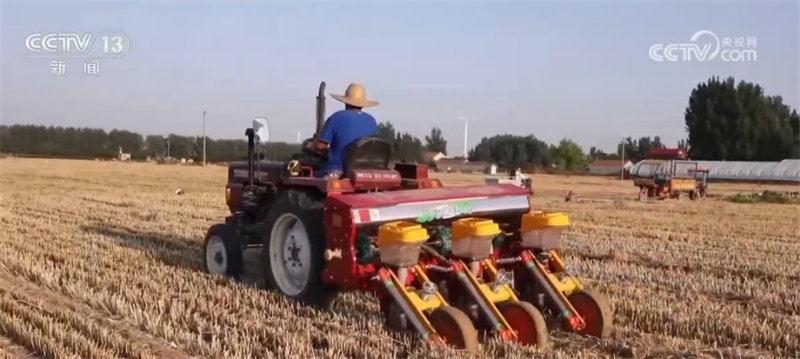 “农机+农技”相结合 小麦抢收、秋粮抢种同步展开
