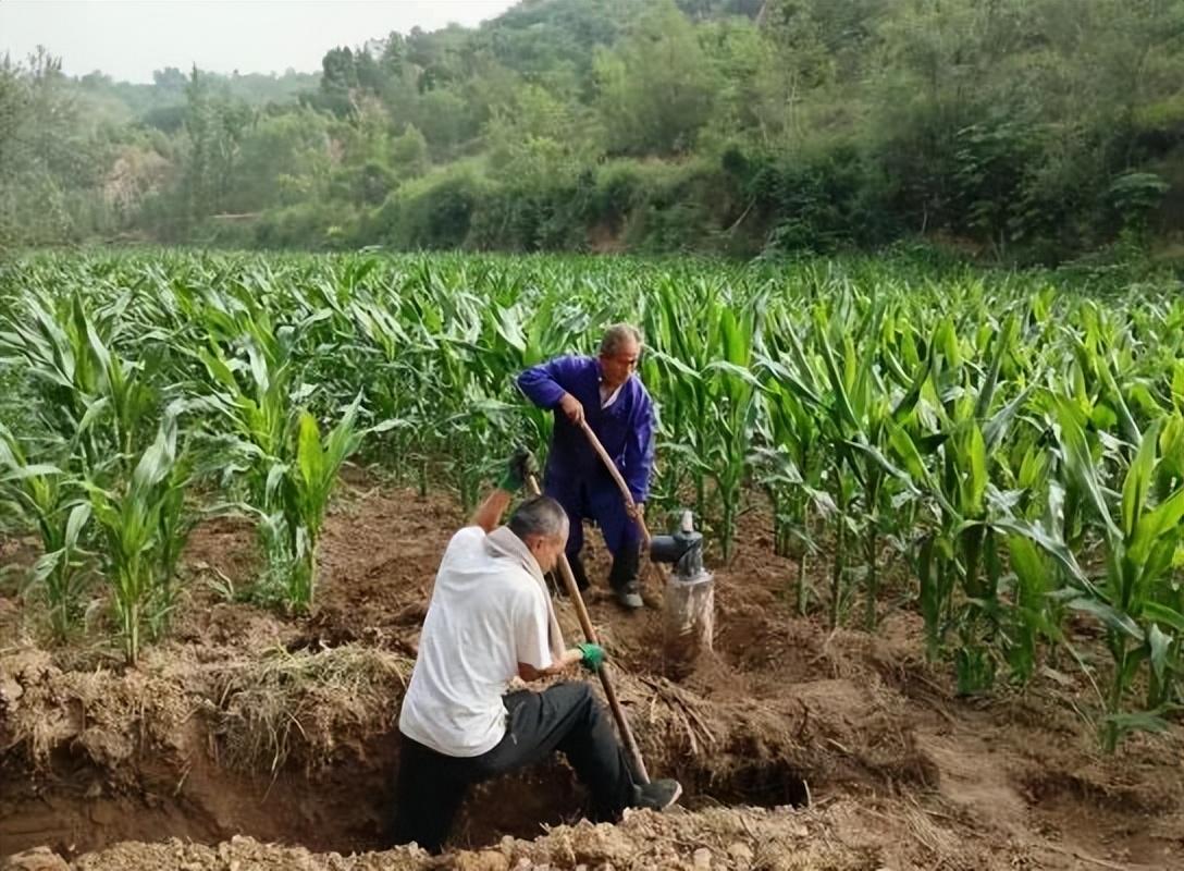 韩城市芝川镇：解决灌溉难题 助力乡村振兴