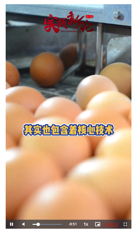 【理响中国·实践新论】视频|核心种源操之在我！我们是这样实现“鸡蛋自由”的！