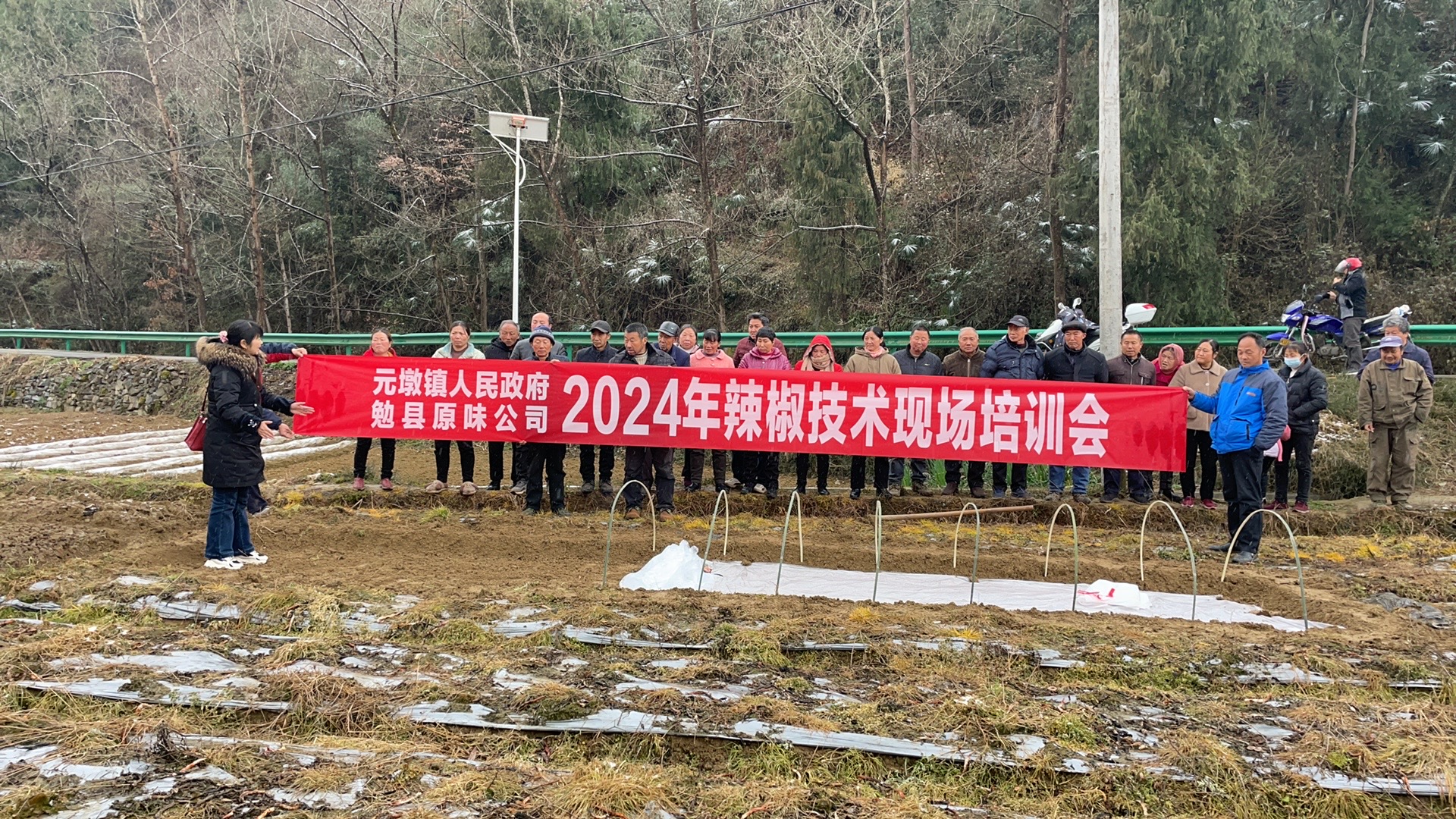 勉县元墩镇开展2024年度辣椒种植培训