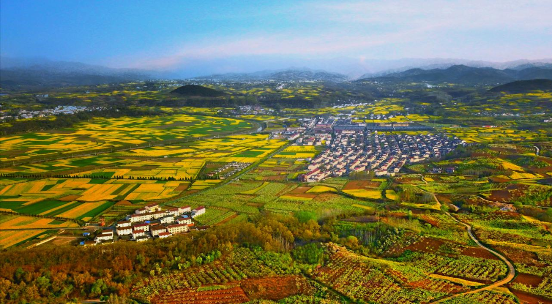 2024最美油菜花海汉中旅游文化节将在主会场洋县启动