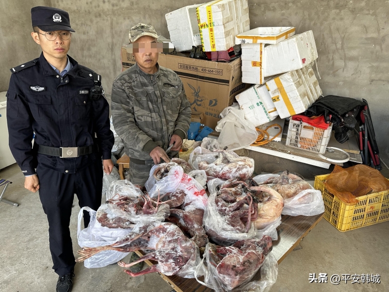 韩城公安破获一起非法猎捕、售卖野生动物案。
